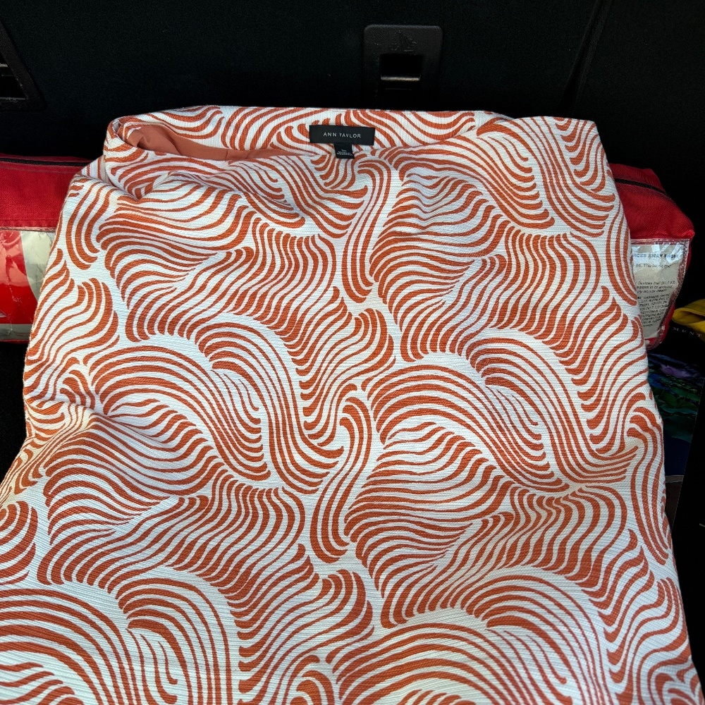 Snazzy Anne Taylor skirt